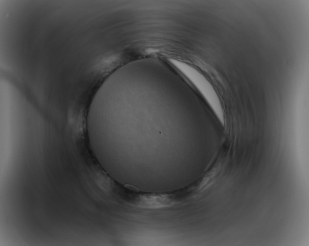 X0000088220517200705221806