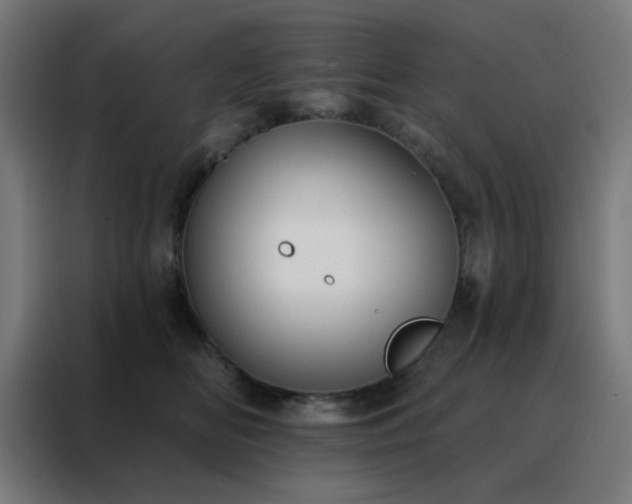 X0000088220518200705221806