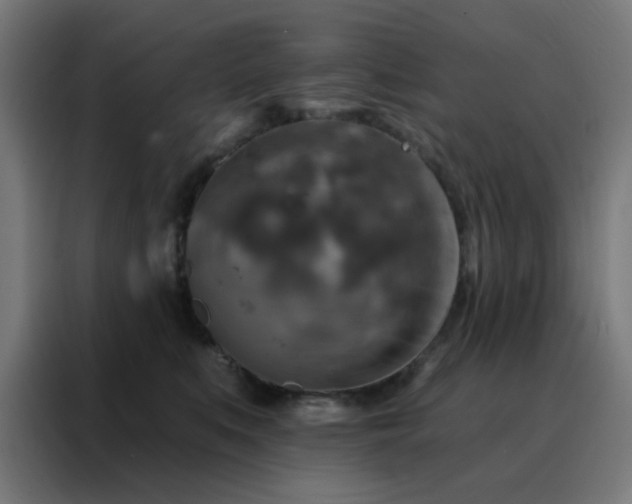 X0000088220519200705221806