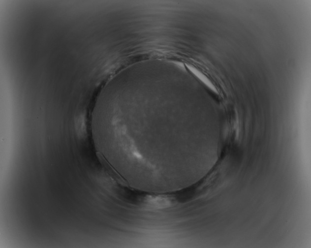 X0000088220520200705221806