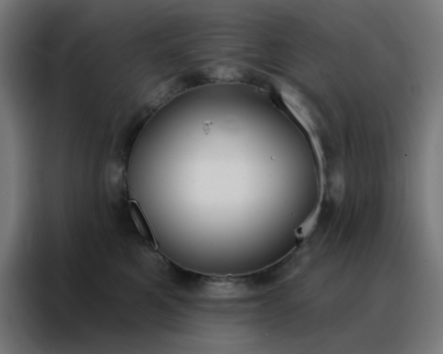 X0000088220521200705221806