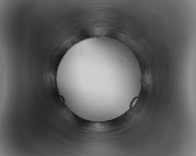 X0000088220522200705221806