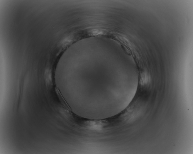 X0000088220524200705221806