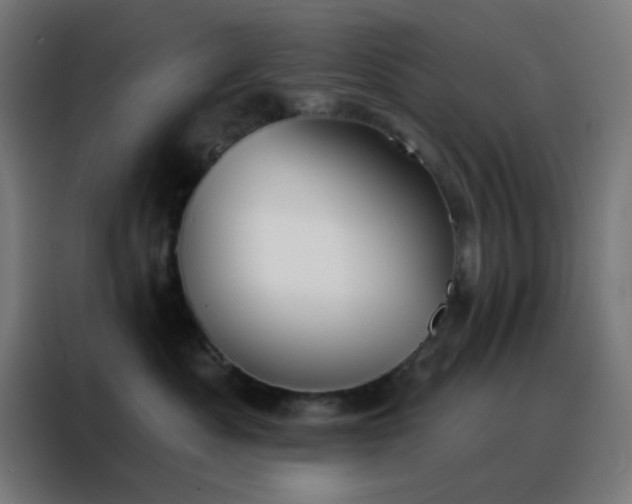 X0000088220525200705221806