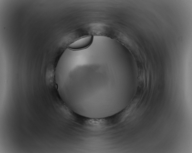 X0000088220526200705221806