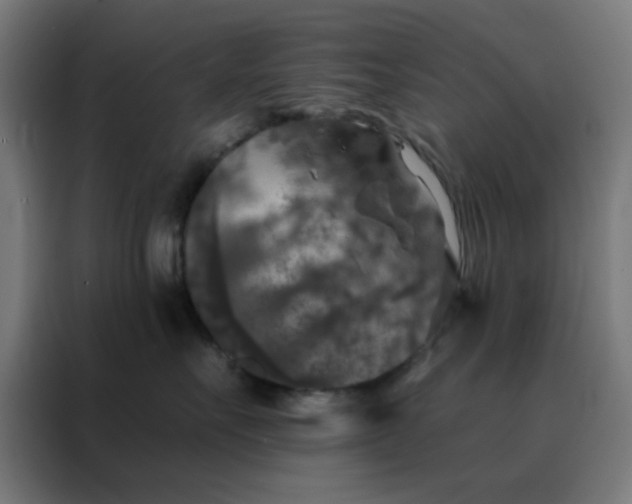 X0000088220527200705221806