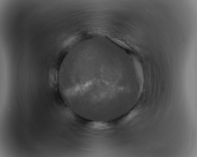 X0000088220528200705221806