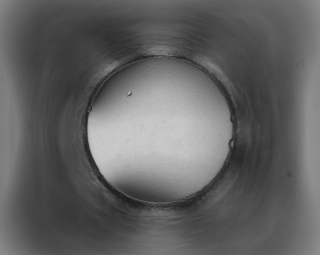 X0000088220529200705221805