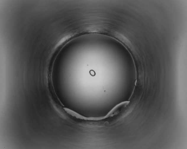 X0000088220530200705221805