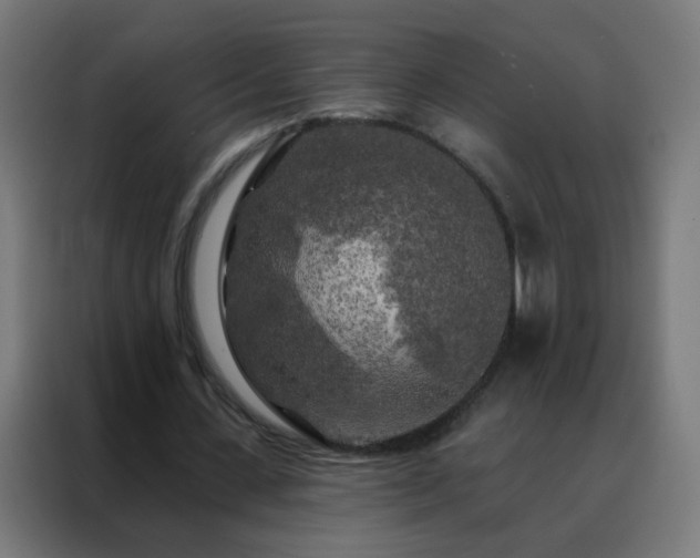 X0000088220531200705221805