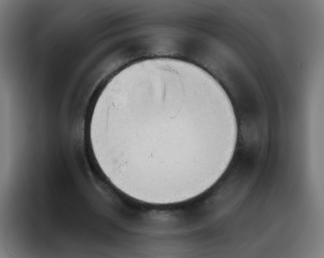 X0000088220534200705221805