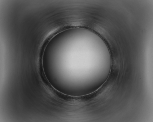 X0000088220535200705221806