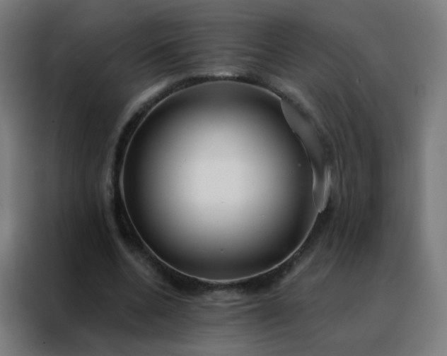 X0000088220536200705221806