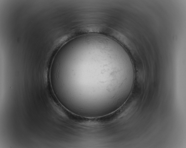 X0000088220537200705221806