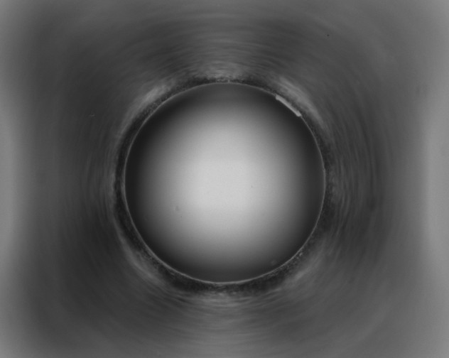 X0000088220538200705221806