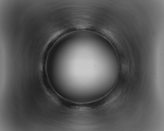 X0000088220539200705221806