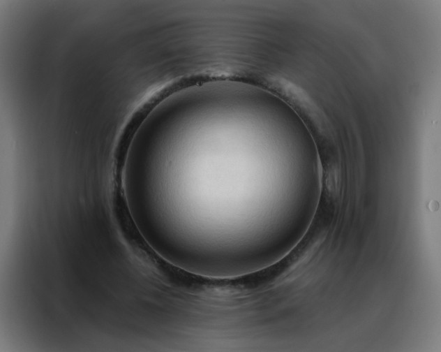 X0000088220540200705221806