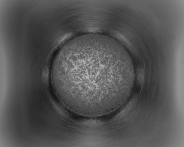 X0000088220542200705221806