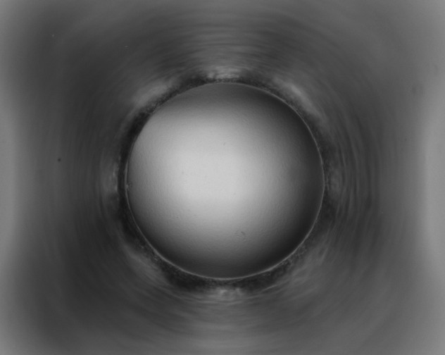 X0000088220543200705221806