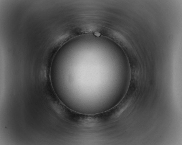 X0000088220546200705221806