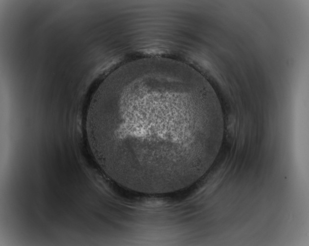 X0000088220547200705221806