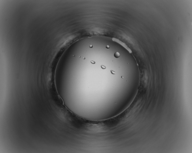 X0000088220548200705221806