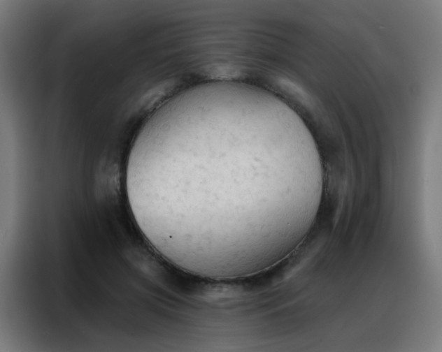 X0000088220549200705221806