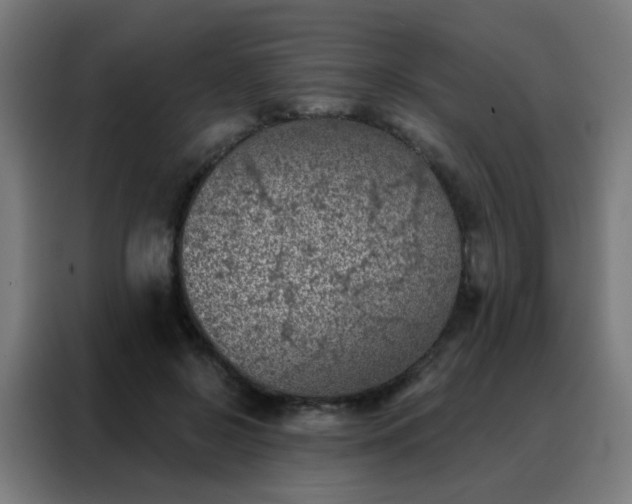 X0000088220550200705221806