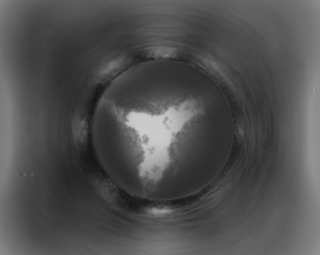 X0000088220551200705221806