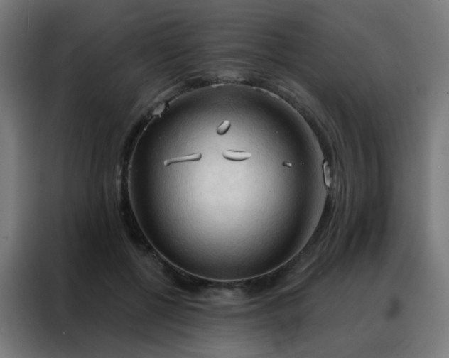 X0000088220552200705221806