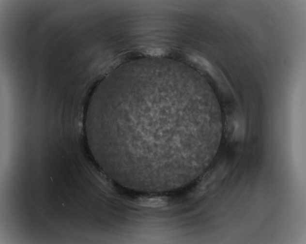 X0000088220553200705221806