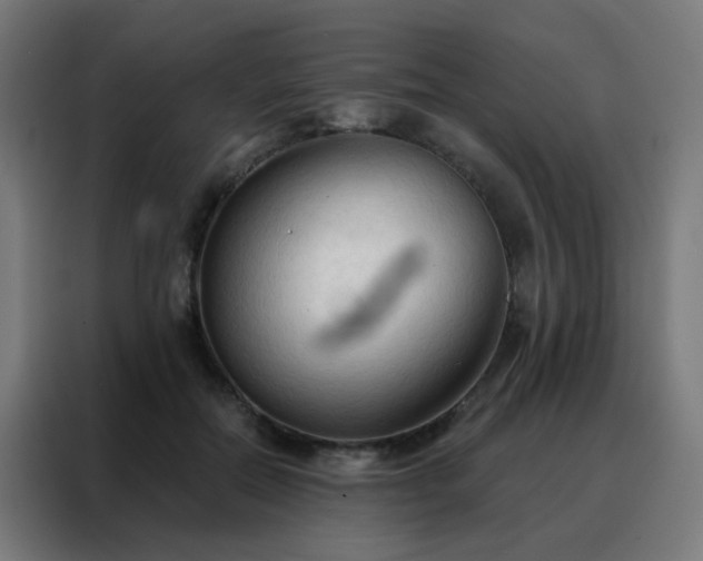 X0000088220554200705221806