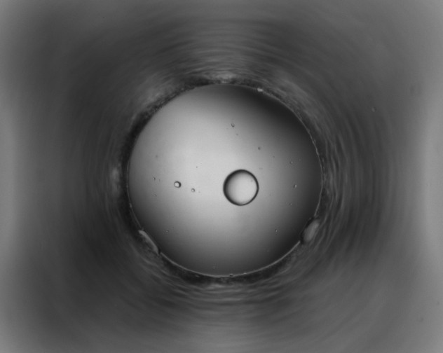 X0000088220556200705221806