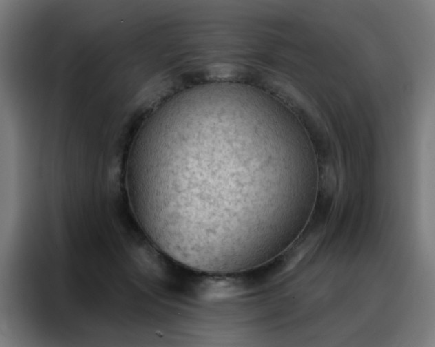 X0000088220557200705221806