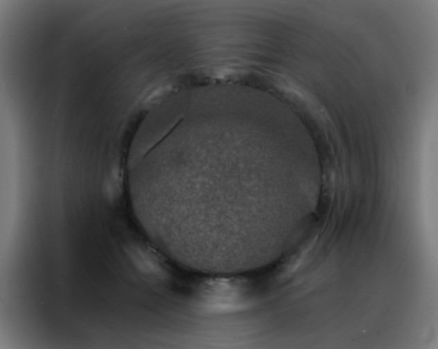 X0000088220558200705221806