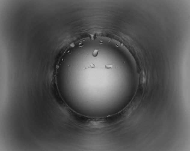 X0000088220560200705221806