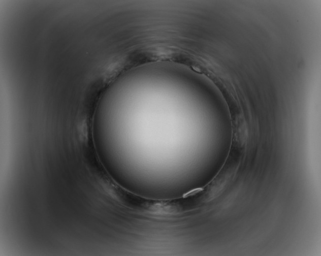 X0000088220562200705221806