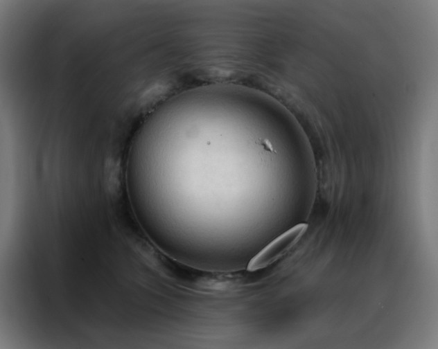 X0000088220563200705221806