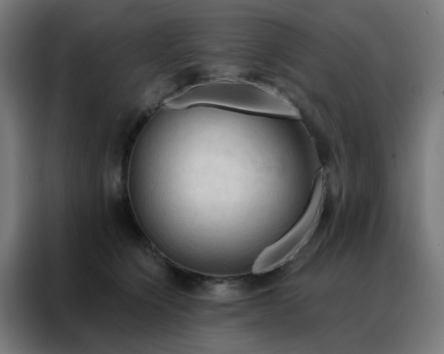 X0000088220564200705221806