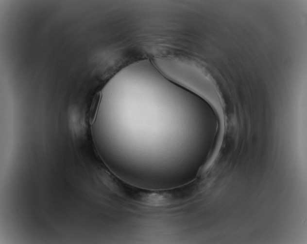 X0000088220566200705221806