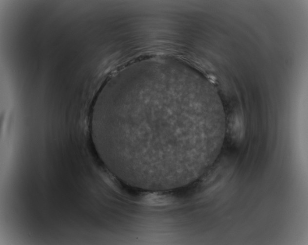 X0000088220568200705221806