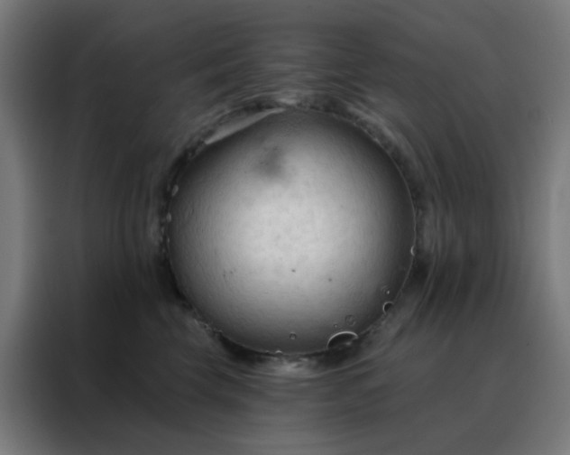 X0000088220569200705221806