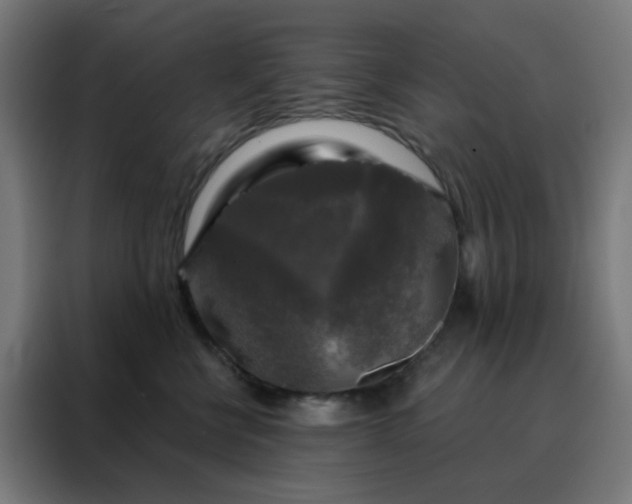 X0000088220570200705221806