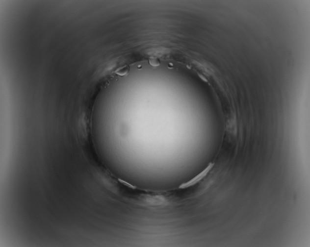 X0000088220572200705221806