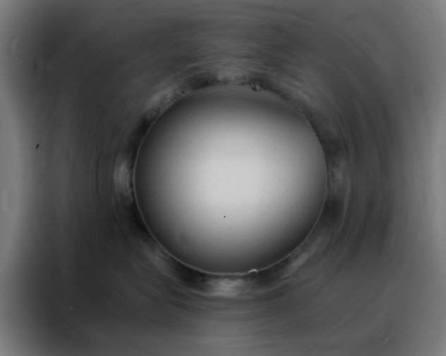 X0000088220575200705221806