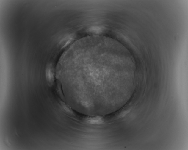 X0000088220576200705221806