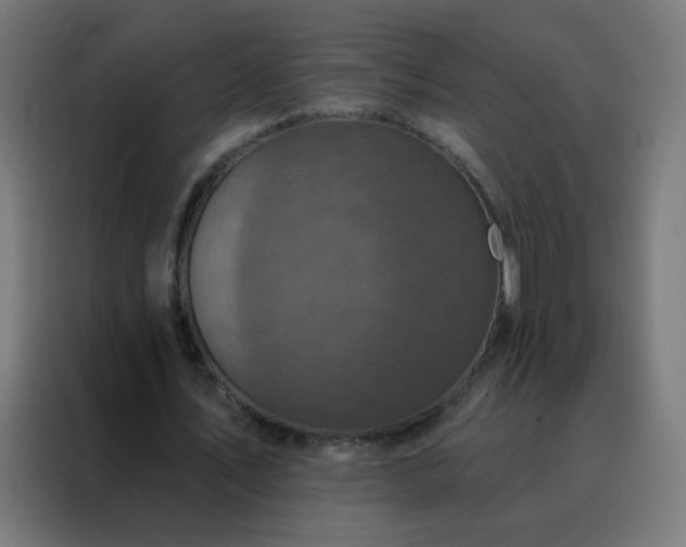 X0000088220579200705221805