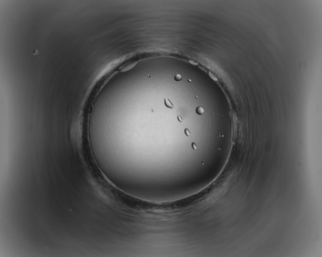 X0000088220580200705221805