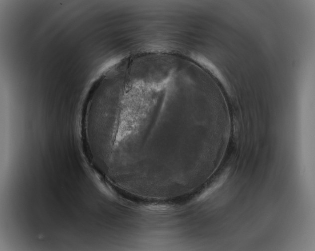 X0000088220581200705221805