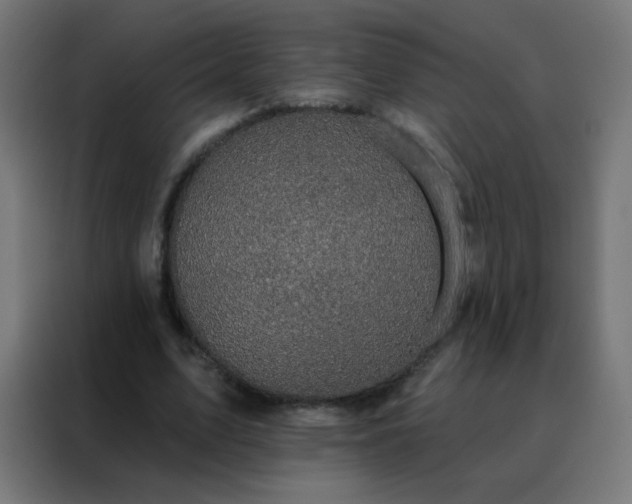 X0000088220583200705221805